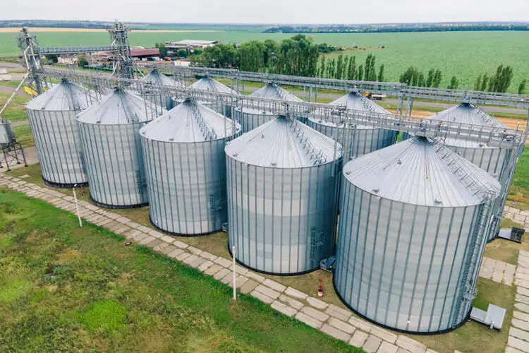 Agro-Processing Business ideas