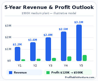 Bottled Water Business Revenue Projection