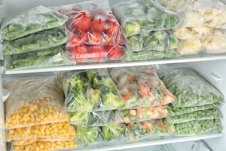 Frozen Food Business ideas