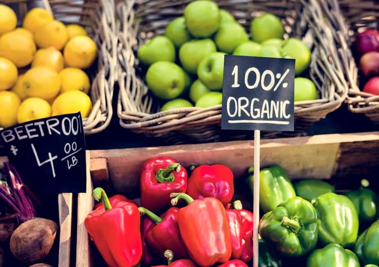 Organic Food Business ideas