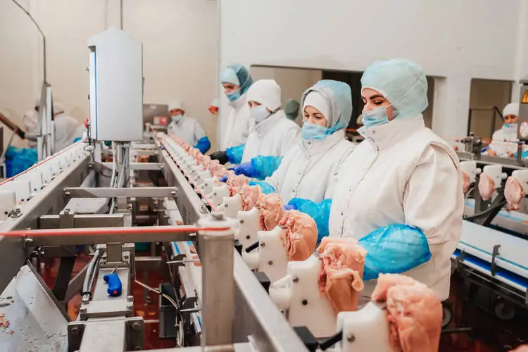 Chicken Processing is an Example of Food Processing Business ideas