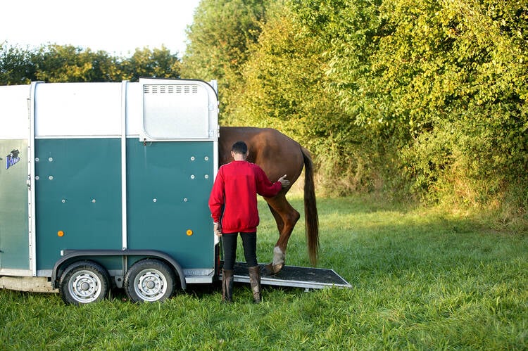 How to Start a Horse Trailer Business