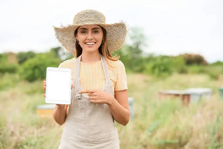 Get Grants for Raising Honey Bees as an Individual