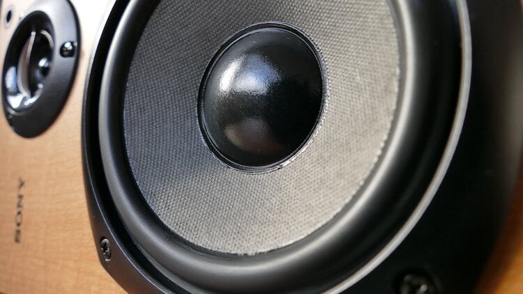 Music System Speaker for Retail Store