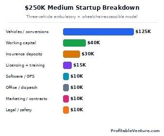 Medium Scale NEMT Business Startup Cost