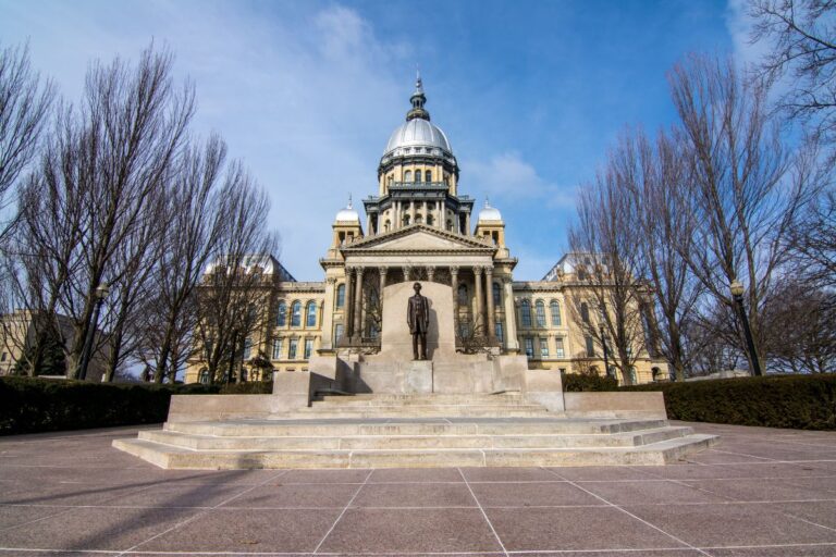 How Can I Do A Illinois Business Search