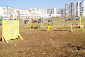 Dog Park Design ideas With Floor Plan and Bar Layout Included ...