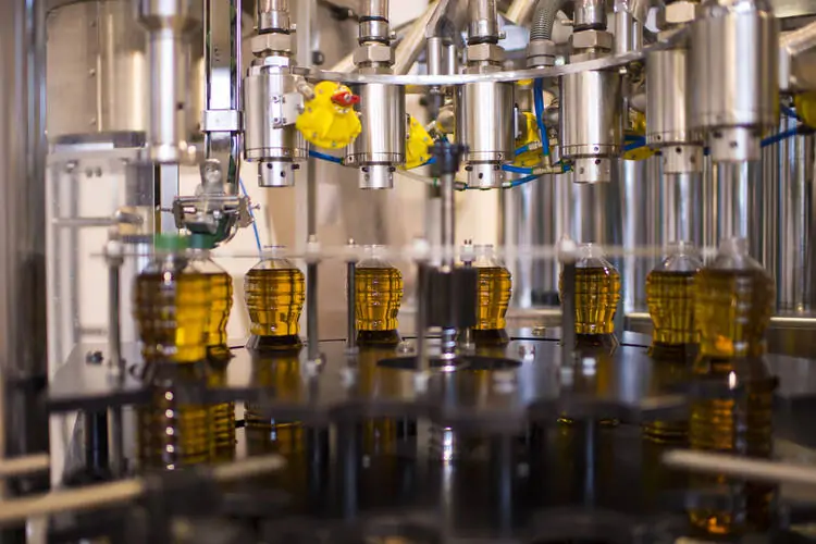 How to Start an Olive Oil Processing Business