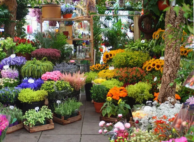 Best-selling Flowers to Sell in your Flower Shop
