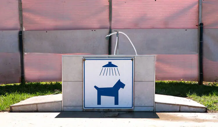 Pet Washroom is an Important RV Park Amenity