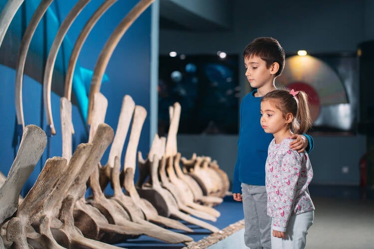 How to Start a Children Museum Business