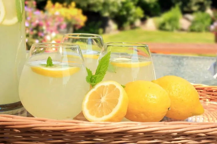 Lemonade Stand Menu ideas