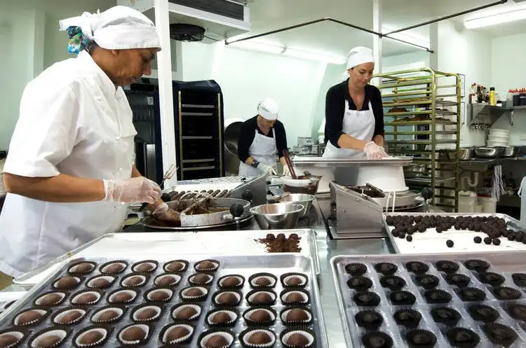 Starting a Chocolate Factory is One of the Best Chocolate Business ideas