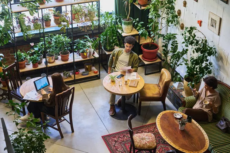 Designing a Relaxing Break Area for Flower Shop Employees