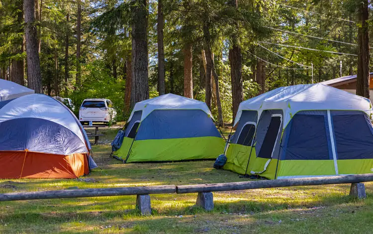 Camping Business ideas