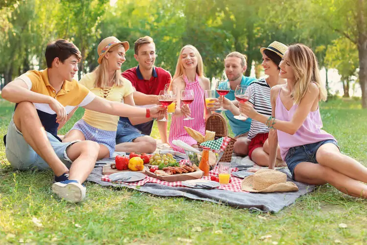 Picnic Business ideas