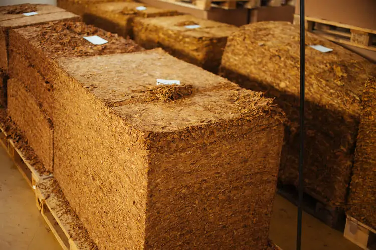 Tobacco Factory Warehouse is one of the Examples of Tobacco Business ideas