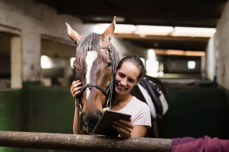 Equine Therapy Business Revenue and Profit Margin