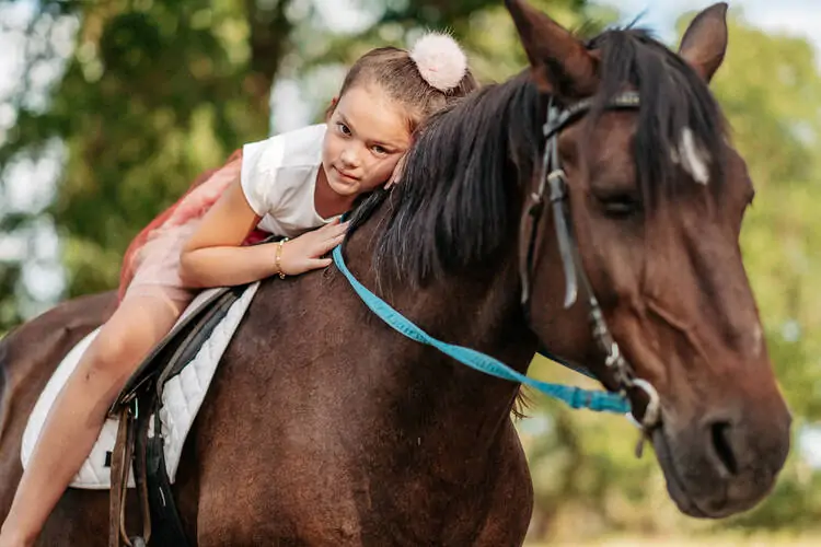 Equine Therapy Business Startup Cost