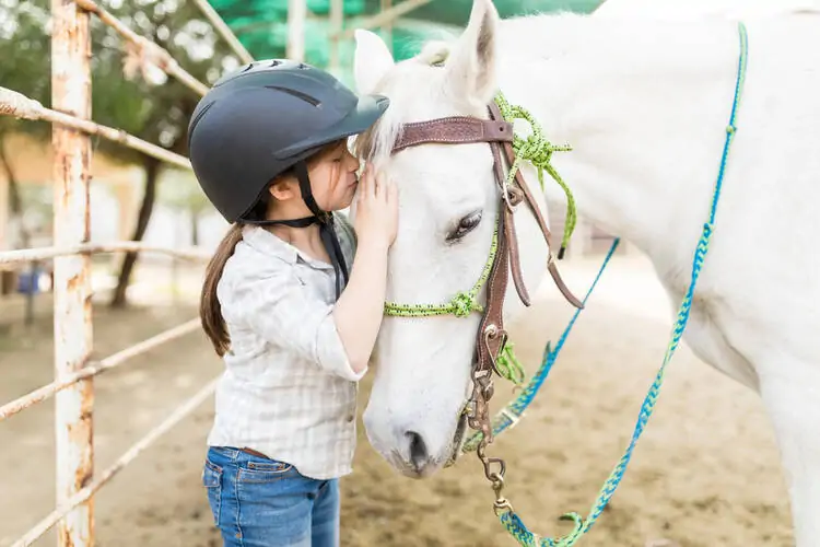 Grants for Equine Therapy Centers