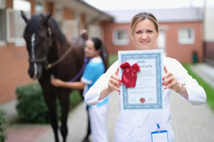 Licenses and Certifications Required to Start an Equine Therapy Business