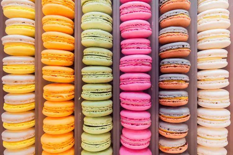 Cookie Branding Color Palettes