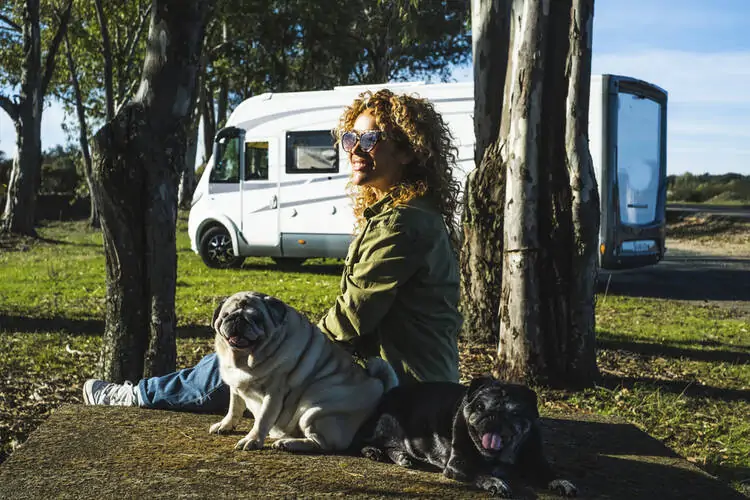 Pet-Friendly RV Park Layout ideas