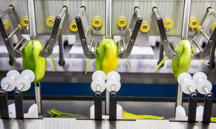 How to Start a Mango Processing Business