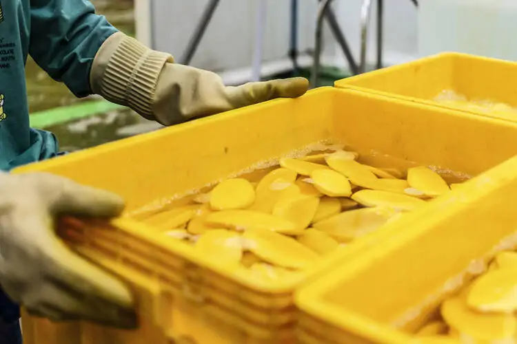 Mango Processing for Jam and Juice