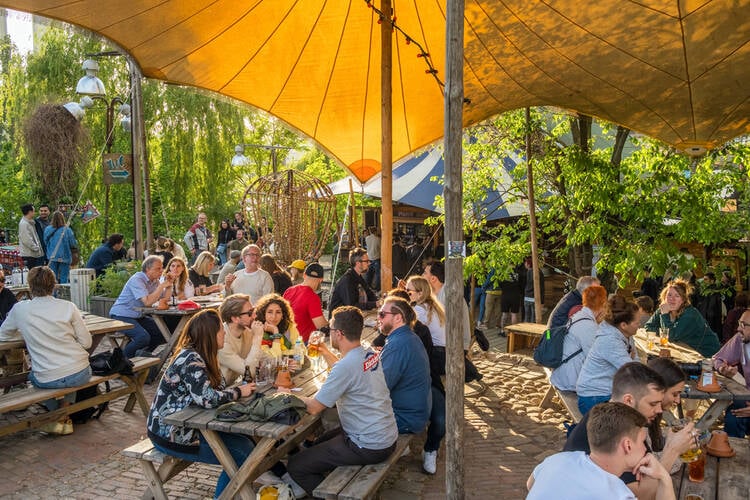 Dog Park Bar Design ideas and Layout