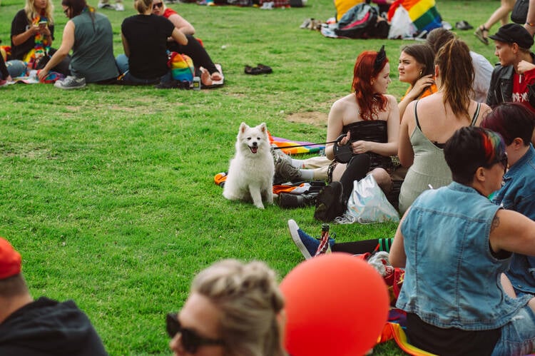 Dog Park Party ideas