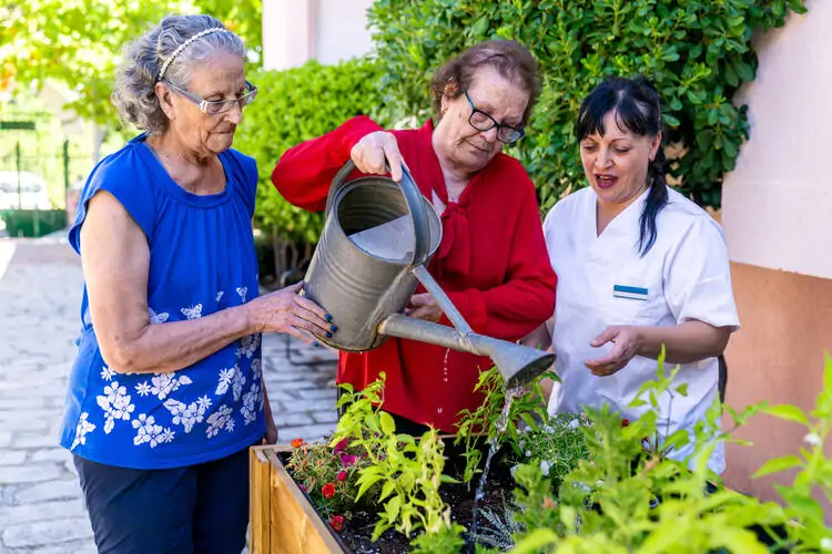 Nursing Home Gardening ideas for Seniors