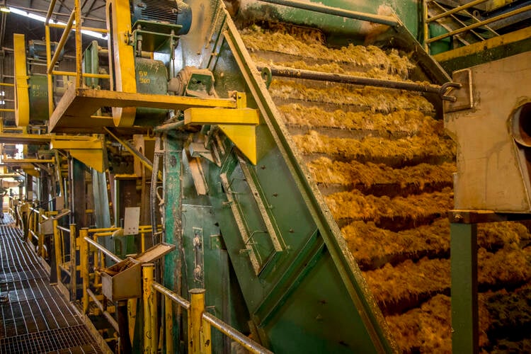 How to Start a Sugarcane Processing Mill Business