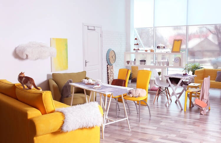 Cat Cafe Interior Design ideas, Floor Plan and Layout