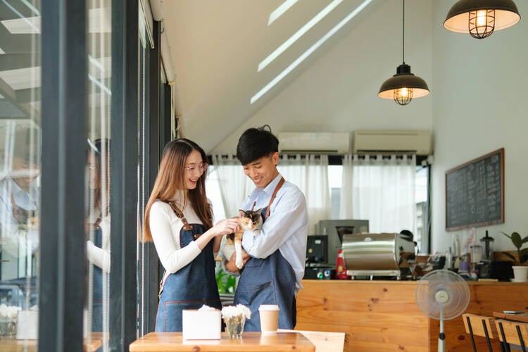 Cat Cafe Staff Uniform ideas