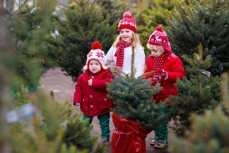 Christmas Tree Farm Activities and Games