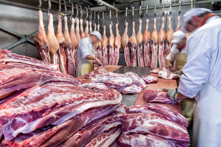 Equipment Needed in the Meat Processing Room of a Butcher Shop