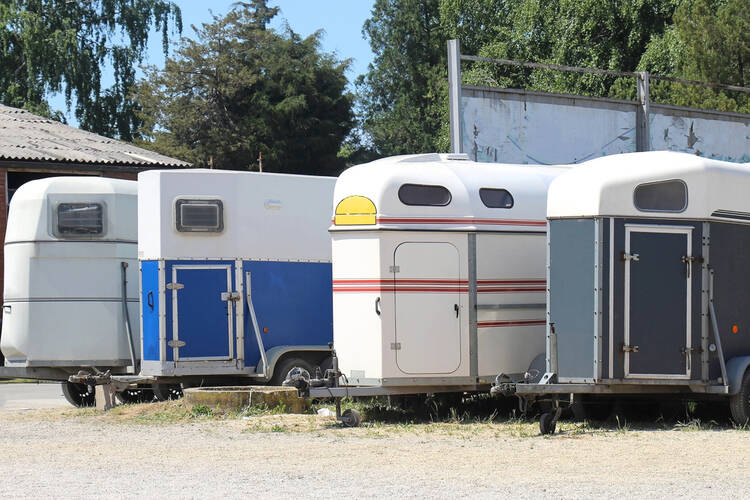 Horse Trailer Business ideas